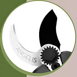 Προστασία Δαχτύλων